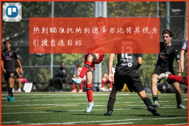 热刺瞄准托纳利德泽尔比将其视为引援首选目标