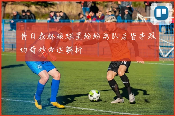 昔日森林狼球星纷纷离队后皆夺冠的奇妙命运解析