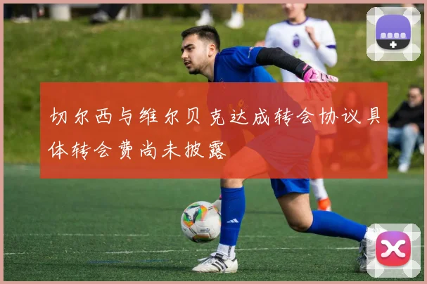 切尔西与维尔贝克达成转会协议具体转会费尚未披露